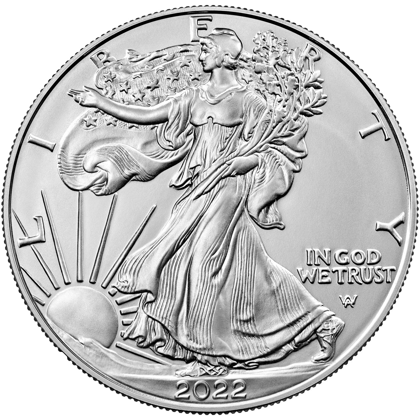 American Egle Coin (1oz silver)