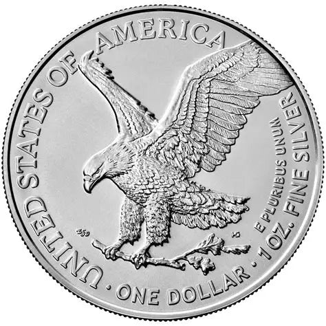 American Egle Coin (1oz silver)